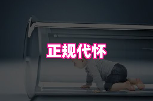 821孕网 1